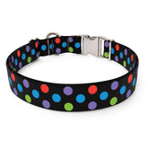 Gumballs Sterling Premium Dog Collar